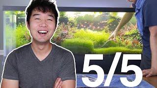 Fish Tank Review but EVERYTHING IS 5/5  Fish Tank Review 167