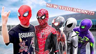 PRO 5 SPIDER-MAN Team || Hey Spider-Man, New SuperHero ??? ( Comedy Action Real Life ) - Bunny Life