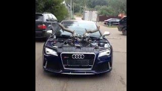 AUDI RS7 "STAGE WTF" 