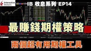 IB收息系列 EP14 IB 最賺錢期權策略 介紹兩個超有用期權工具 IB教學 IB 債券 IB期權 期權策略