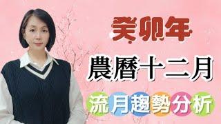 癸卯年農曆十二月｜流月趨勢分析｜2024/1/11～2/9｜送兔迎龍新氣象