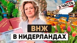 ВНЖ Нидерланды 2024 | Как переехать в Нидерланды? | Процедура, документы, отказы Часть 2