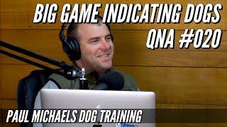 Big Game Indicating Dogs QnA - #020