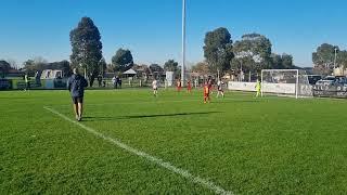 Sydenham DF Vs Western Eagles U8