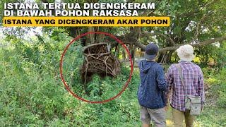 VIRAL‼️ WARGA MENEMUKAN ISTANA TERTUA DICENGKERAM DI BAWAH POHON RAKSASA ?!