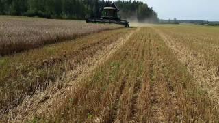 DEUTZ-FAHR  harvester wheat field Carizma