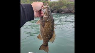 Lake Erie Bass Islands Smallmouth Fishing - May 2024