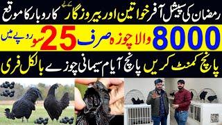Ayam Cemani Double Sha Business Exposed| Reality Of Cemani farming |why ayam cemani is so expansive