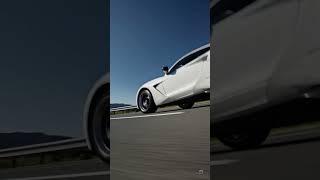 White Beast on the Loose! Insane Cinematic Angles ️ #Shorts