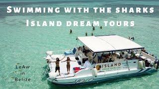 Swimming with sharks - YOLO - Island Dream Tours the best on Ambergris Caye - LeAw in Belize