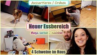 Wahnsinn's VORHER / NACHHER| Neuer Essbereich | Aussortieren & Schweinealltag |Die Großfamilie