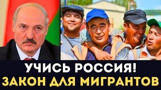 ВОТ ЗА ЧТО В РОССИИ УВАЖАЮТ ЛУКАШЕНКО! Узнали Почему Понаехавшие Мигранты Не Едут в Белоруссию и ОАЭ