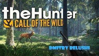 TheHunter: Call of the wild (охота с Белуши) Дикие буйволы
