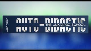 AUTO-DIDACTIC:THE JUXTAPOZ FACTOR
