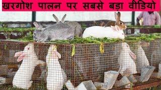 खरगोश पालन से करें कमाई लाखों में | Rabbit farming in India | Tour of Rabbit farm at Jind Haryana