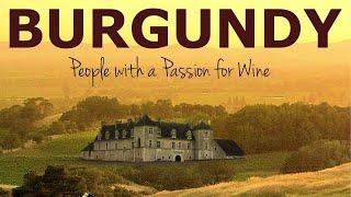 Burgundy People With A Passion For Wine | Wine-making | Full Documentary