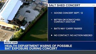 Concert attendees may have been exposed to bats at The Salt Shed, health department says