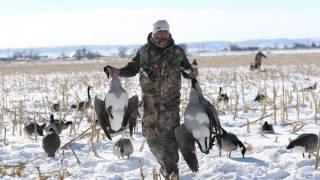 Angel Wing Outfitters + Molt Gear: DAY 1 Canada Goose Hunt