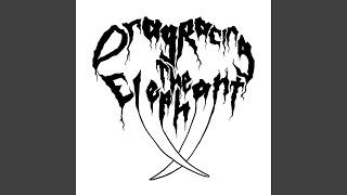 DRTE (Live)