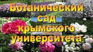Ботанический сад КФУ