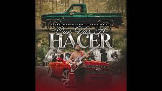 Que Vas A Hacer - Nivel Codiciado & Jose Mejia