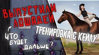 RRP VLOG | ВЫПУСТИЛИ ЛОШАДЕЙ | ТРЕНИРОВКА С КЕЙЛУ И ПЕРЕВОЗКА ВЭЯ | STAR STABLE