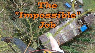 Other Tree climber said this was "impossible" (Embarrassing!)