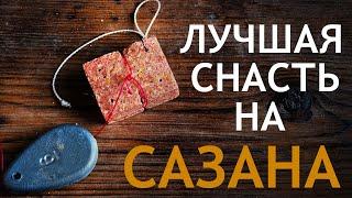 ЛУЧШАЯ СНАСТЬ НА САЗАНА, карася | АСТРАХАНСКИЙ МАКУШАТНИК | САМЫЙ ПРОСТОЙ МОНТАЖ (донная снасть)