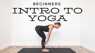 20 Minute Intro to Yoga for Beginner Beginners