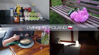 Slow living in a small Polish town