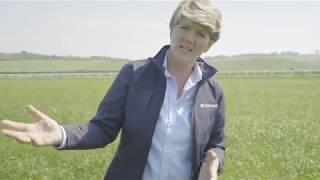 Behind the scenes at Kingsclere with Clare Balding