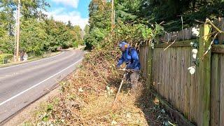 OVERGROWN Bramble Was INVADING His BACKYARD! #satisfying