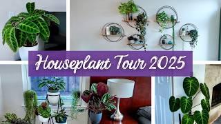 FULL Houseplant Tour 2025! | 100+ Rare and Common Plants Then vs Now