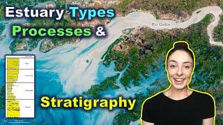 Estuary Depositional Environments & Stratigraphy | GEO GIRL