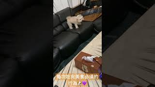 15歲的Tolkki 就好好的偷著樂吧