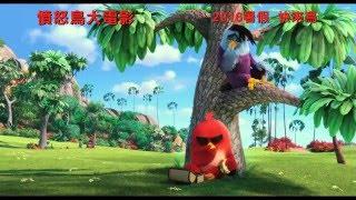 The Angry Birds Movie 憤怒鳥大電影 [HK Trailer 香港版預告]