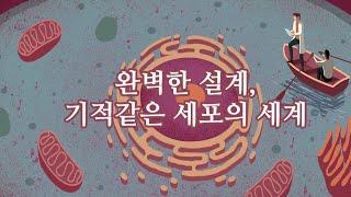 세포, 미토콘드리아, ATP, RNA,  DNA, 염색체 모두 진화를 거부하고 있다