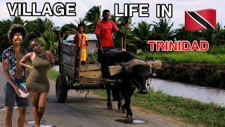 OMG! Village Life in Trinidad & Tobago is NOT What you Think! 