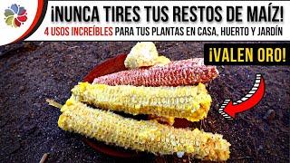  NUNCA MÁS LOS TIRES!!! Los restos de MAÍZ SON ORO PURO para tus PLANTAS en CASA, HUERTO y JARDÍN