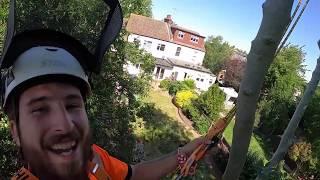 A day in the life of a tree surgeon