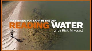 How to Fly Fish for Carp on the Denver South Platte // READING WATER with Rick Mikesell