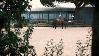 Festival Internacional do Cavalo Lusitano em Cascais