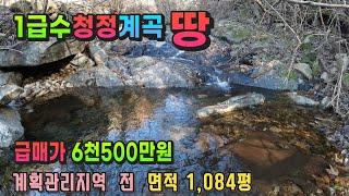 강원도 횡성부동산 계곡땅 횡성토지매매 [강원도 횡성군 안흥면부동산] #횡성군계곡토지