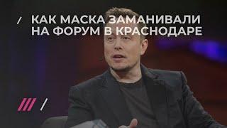 Как Илона Маска заманивали на кубанский бизнес-форум с помощью баннера и «Приключений Электроника»