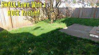 LANDLORDS NEGLECTED LAWN GETS A DESPERATE TRANSFORMATION!! #LawnMowing #Transformation #Satisfying