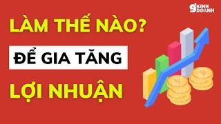  Lợi Nhuận Là Gì? Làm Thế Nào Để Gia Tăng Lợi Nhuận Nhanh Chóng  | 9PKD