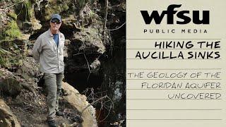 Hiking the Aucilla Sinks | Geology of the Floridan Aquifer Uncovered