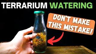 How To Water a Terrarium - EVERYTHING You Need to Know!