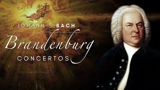 Bach - Brandenburg Concertos (complete)