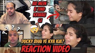 Ducky Bhai Tind Reaction  | Sakina ka ro ro kr Bura Haal  | Reaction Video | Moona and Sakina